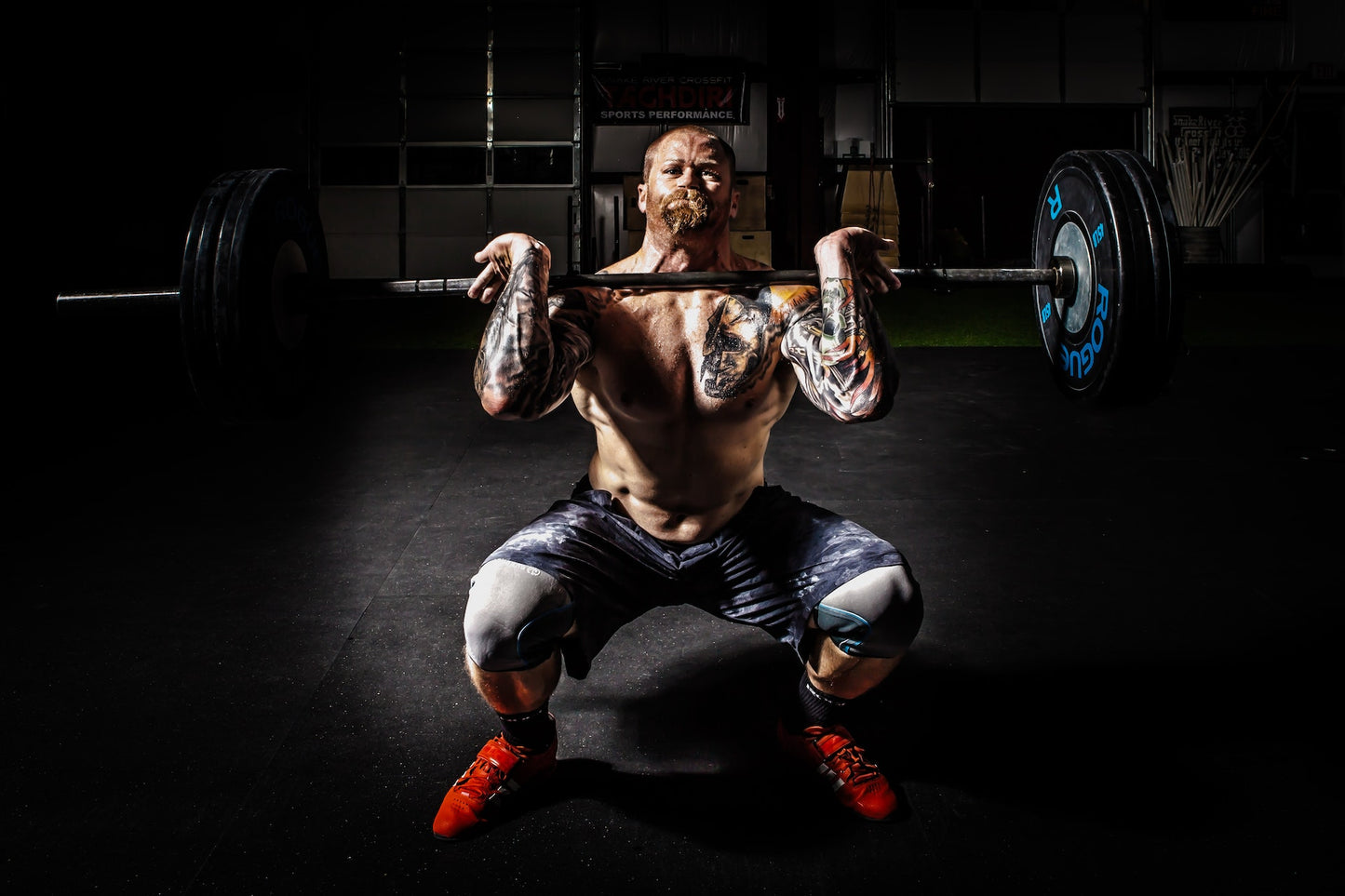 Alpha Tech Supplements - Premium from Alpha Tech Supplements - Just $10! Shop now at Alpha Tech Supplements